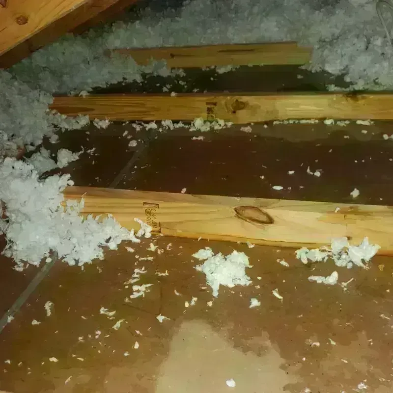 Attic Water Damage in Woodbridge, NJ