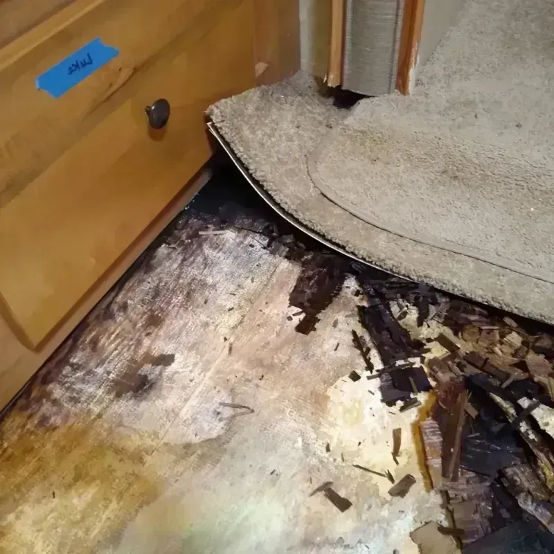 Wood Floor Water Damage in Woodbridge, NJ